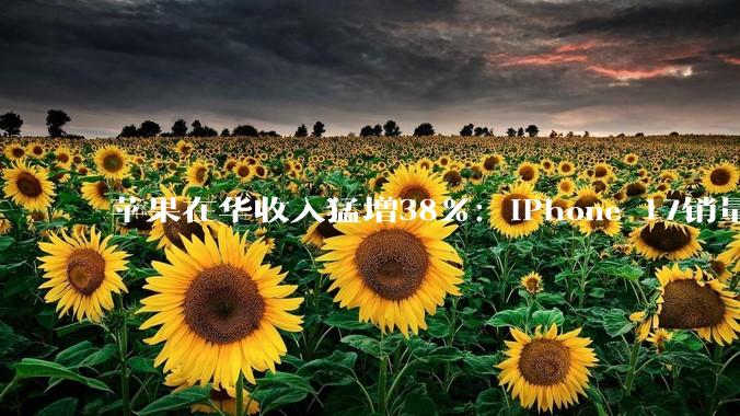 苹果在华收入猛增38%：iPhone 17销量创下历史新高，华为下滑10%_同比_中国_系列