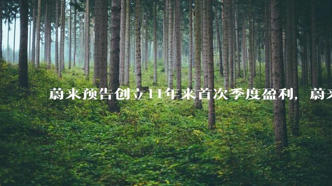 蔚来预告创立11年来首次季度盈利，蔚来真赚钱了？_品牌_的成本_汽车