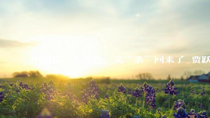 中国第一大忽悠，又“杀”回来了_贾跃亭_机器人_生态化