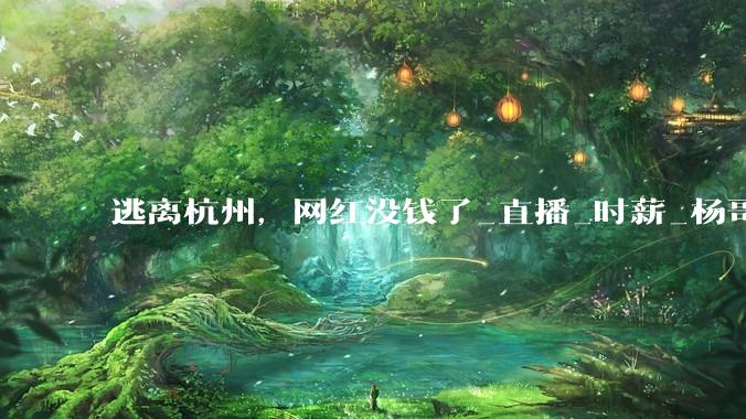 逃离杭州，网红没钱了_直播_时薪_杨哥和