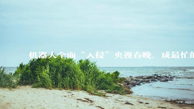 机器人全面“入侵”央视春晚，成最忙的特别风景，网友心情矛盾：自豪又担忧_表演_节目_蔡明